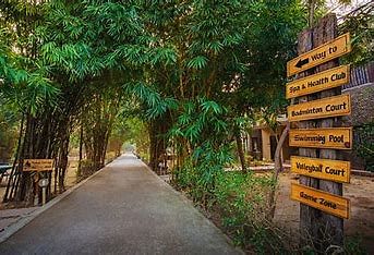 Tusker By Trill in Ramnagar, Jim Corbett